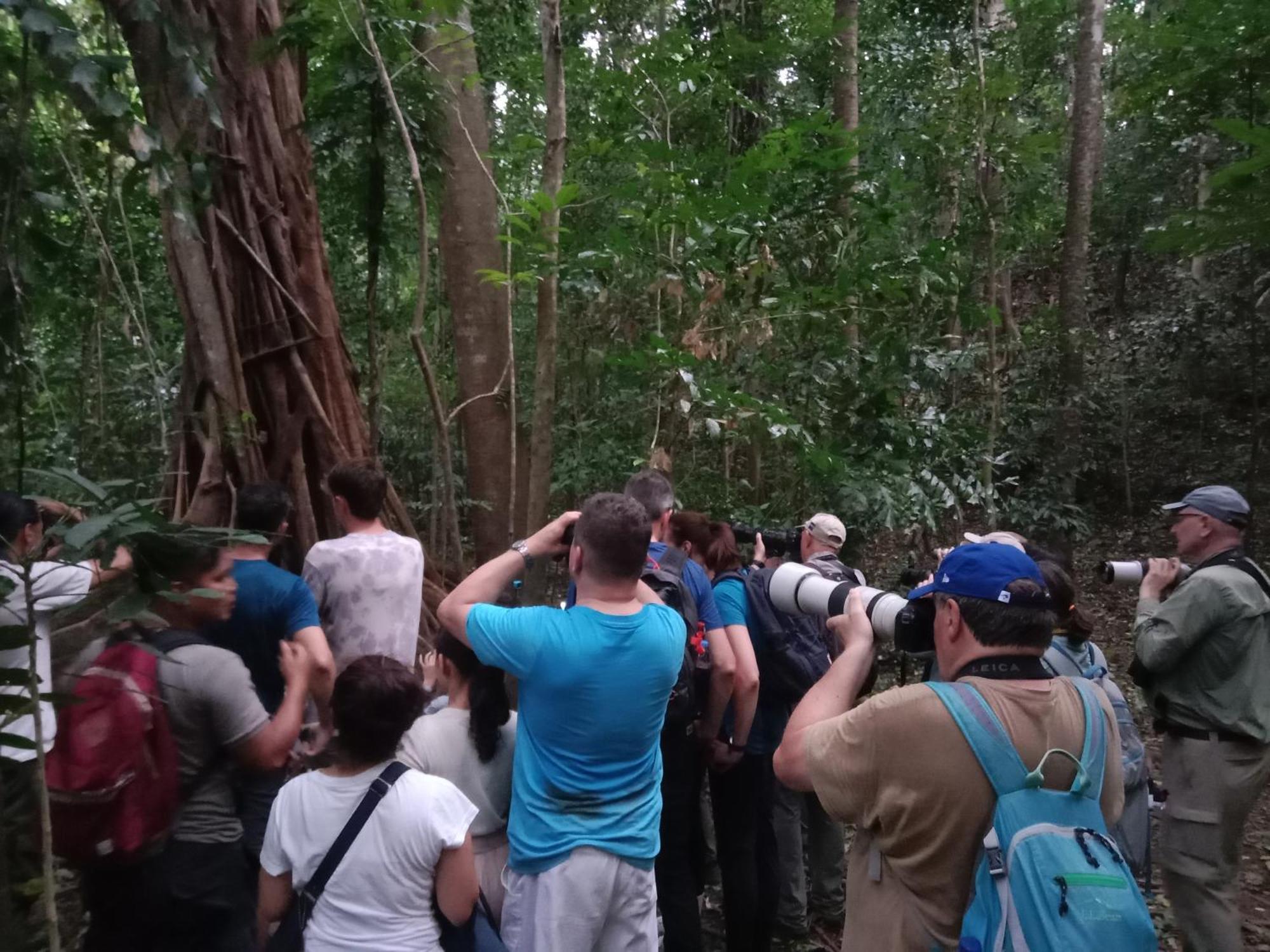 Tangkoko Backpacker Home Stay Rinondoran Esterno foto