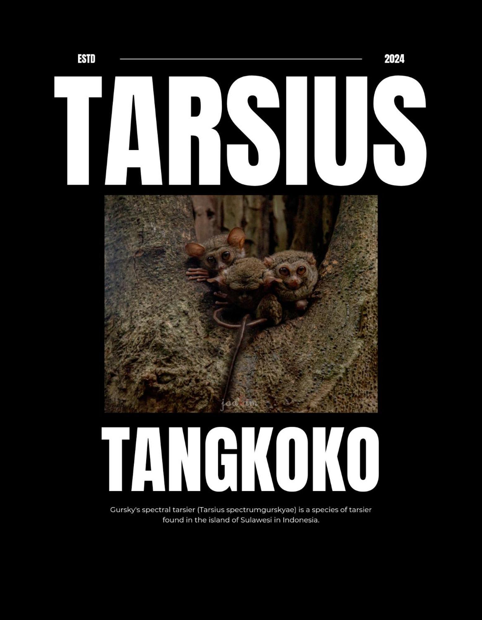 Tangkoko Backpacker Home Stay Rinondoran Esterno foto
